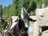 We see plenty of these in Central Asia
