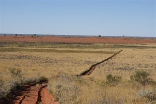 The track south towards Well 40 - CSR