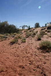 A well worn path to water.