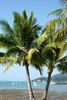 Airlie Beach
