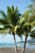 Airlie Beach