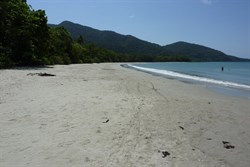 Cape Tribulation