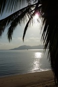 Cardwell