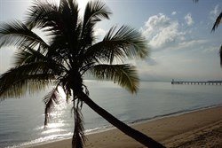 Cardwell