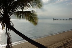 Cardwell
