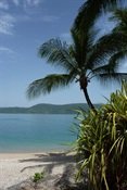Daydream Island