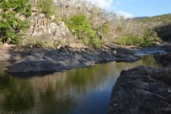 Alligator Creek