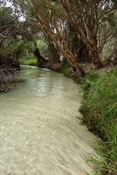 Eli Creek, Fraser Island