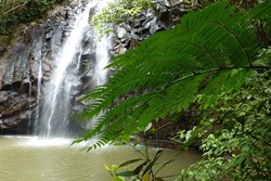 Ellinjaa Falls