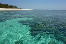 Lady Musgrave Island