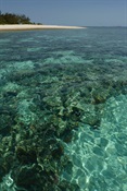 Lady Musgrave Island