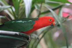 Australia Zoo