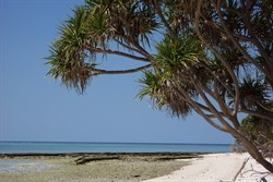 Lady Musgrave Island