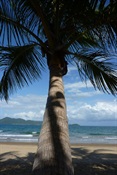 Mission Beach