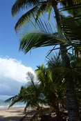 Mission Beach