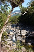 Mossman Gorge