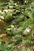 ossman Gorge