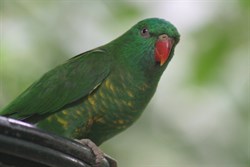 Australia Zoo