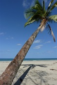 Myall Beach