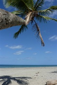 Myall Beach