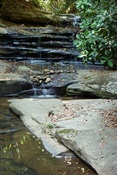 Buderim Falls