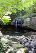 Buderim Falls