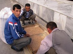 Sorting Beans at Samarkand Market