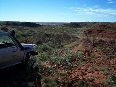 On the short-cut road to Rudall River