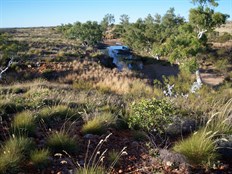 Tjingkulatjatjarra Pool