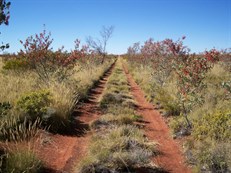 Talawana Track