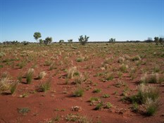 Scene from centre of Conolly Basin