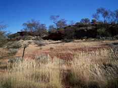 Rocky Outcrops, not Stoney Banks