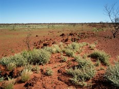 Carnegie Rocky Outcrops