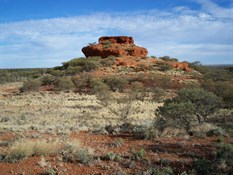 Nipper Pinnacle