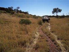 Following animal track eastern side of breakaway