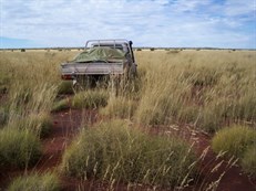 Meandering across the Gibson Desert towards Nipper Pinnacle