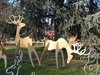 Christmas is in the swing, Milan Italy
