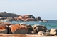 Beach at Cozy Corner