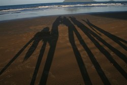 Goofy Shadows