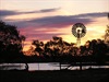 Photo Comp 2010