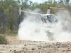 mustering cattle
