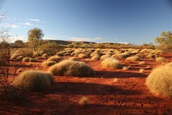 Canning Stock Route