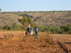 RACV Kimberley style