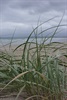 Storm brewing over Bherwerre Beach
