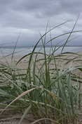 Storm brewing over Bherwerre Beach