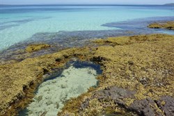 Murrays Beach
