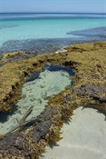 Murrays Beach