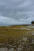 Storm Brewing, Jervis Bay Marine Park