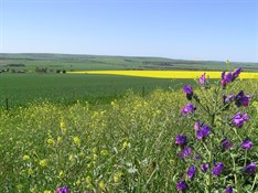 spring colours s.a.