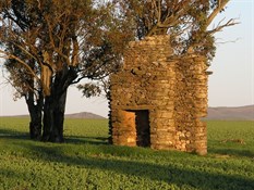 burra s.a.